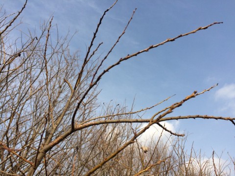 ykgokbsu6xap4n83pgxk_480_480-89b012b1.jpg