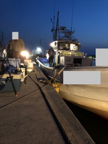 ykgw2jadvs93hp6a3orp_480_480-a480b4db.jpg