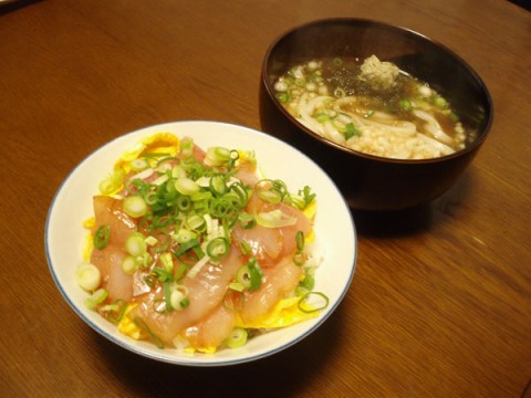ykkctfjursg2y6w694rk_480_480-3e556d24.jpg
