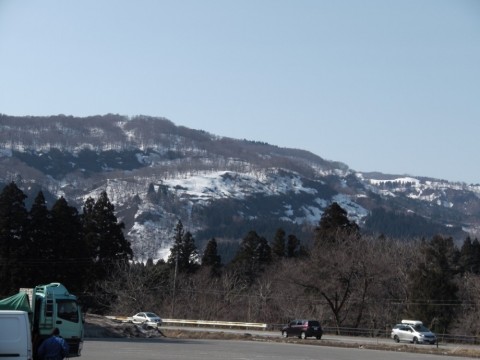 ykwaudwa22n2t3d3pza7_480_480-38c559b9.jpg