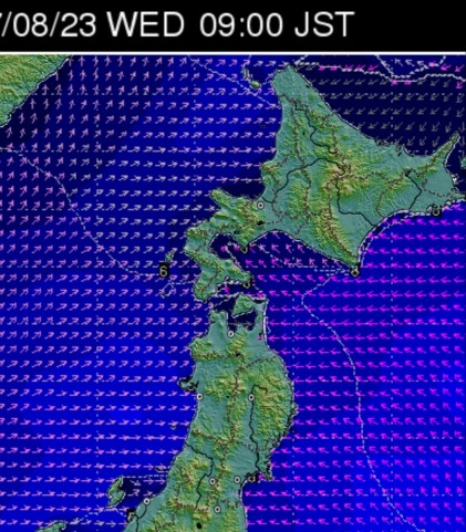 ym2yrsjv2z8yp9jpn4y8_806_920-6fad1fb3.jpg