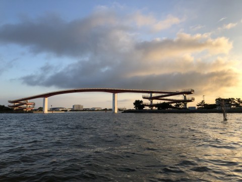 ymaujgb56jhaze9bnmrb_480_480-ebe7f050.jpg