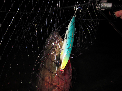 ymc29y4cwoxkeaibngf6-049f8e57.jpg