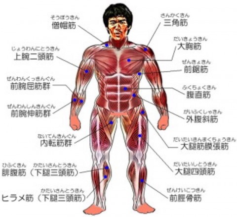 ymnk45wbzy3gs5cj9gxr_920_840-a835195a.jpg