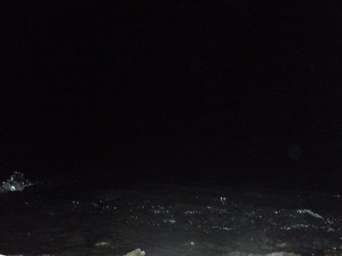 ympp466bsuksmwbtu332_480_480-8192b4fc.jpg