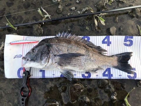 ymykoi6a2rjtugdmfdsv_480_361-3aa5d88e.jpg