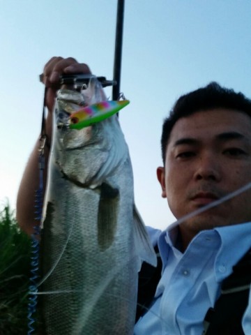 ynggy49vh9c2ikj872ed_690_920-68974415.jpg