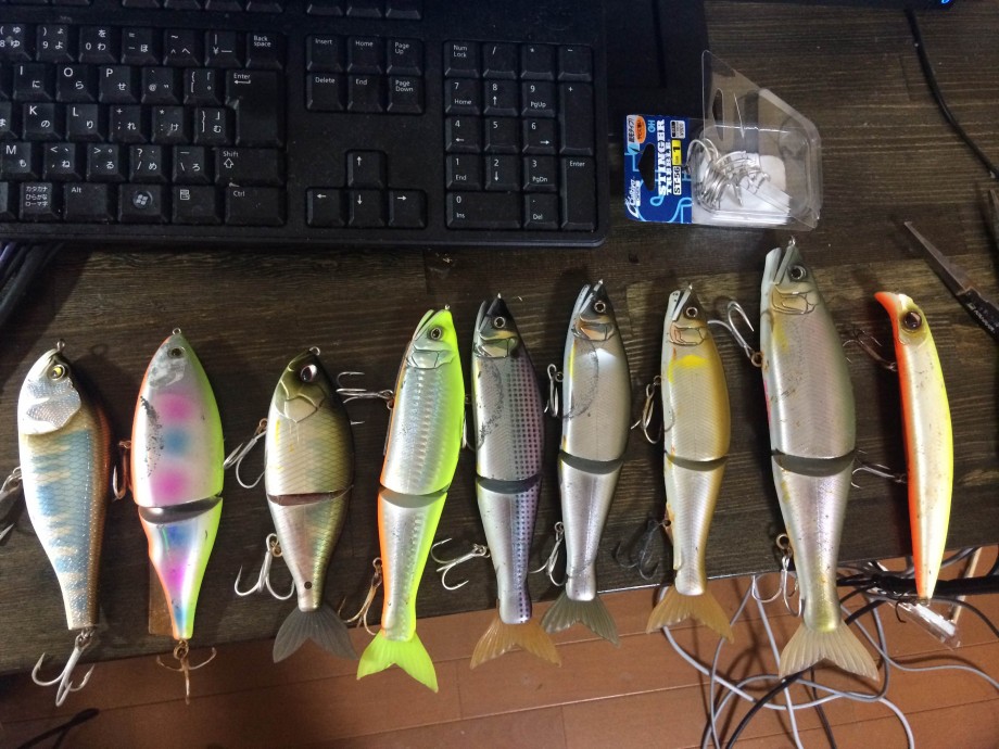 釣果重視 高知アカメ遠征準備