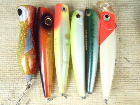 ynnbo7v8dkauy9iyhwpg_480_480-1c1941f1.jpg