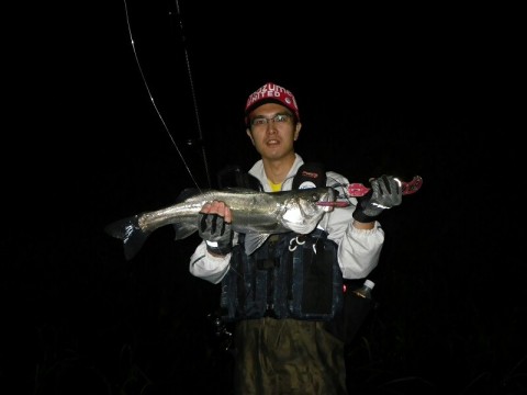 ynniap5tk4rnbj29pm4a_800_600-050c5444.jpg