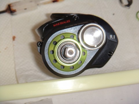 ynnw9s7ia5idc243m7cy_480_480-e5c64251.jpg