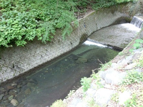 ynuanj2yzpcizmp6p7d5_920_690-d54b5ab0.jpg