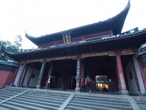 ynuy4ac77jp7hnwju8bg_480_480-50c3a89d.jpg