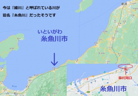 yo43w4vgvxjmui83t2x9_480_480-d9998b48.jpg