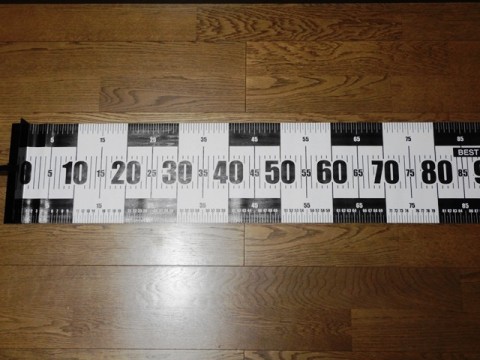 yo5odovnyhr323i9uztr_480_480-14279333.jpg