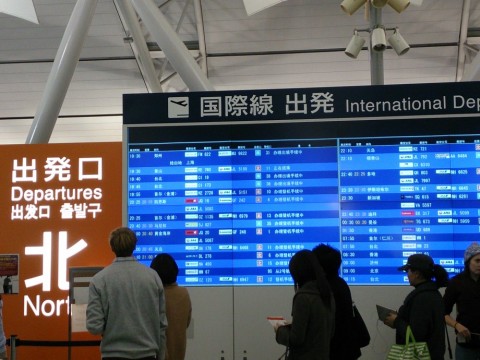 yonwow374j7z8ge98x3z_480_480-66eb3e56.jpg