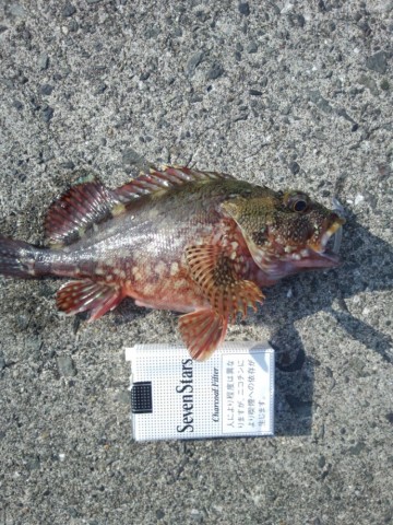 yopavoex772xwjegwj8v_690_920-2a4746d8.jpg