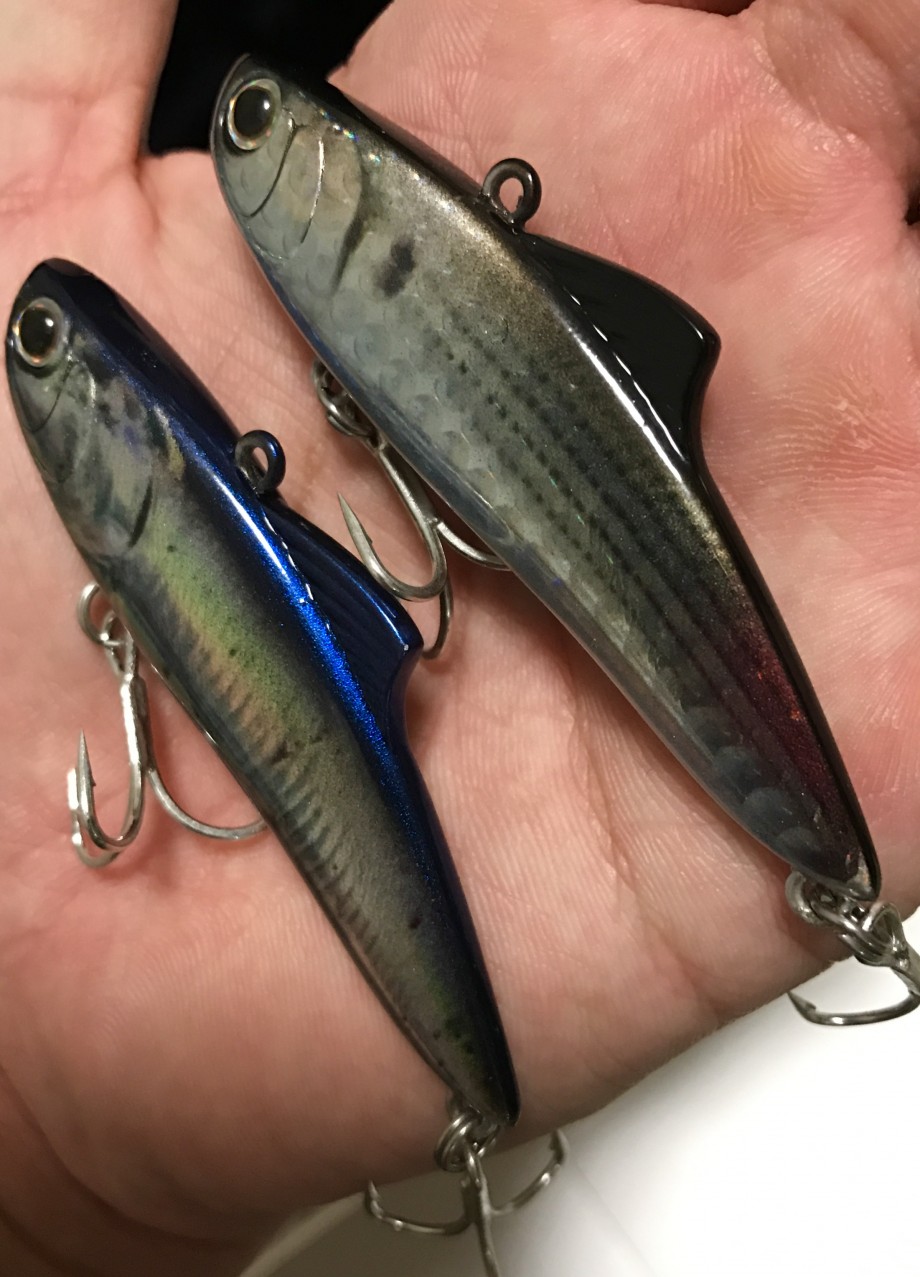 Shimano Saltwater Blog エクスセンス初リアルプリント 285 365