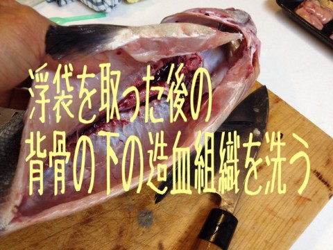 you9t79tmvofrmnw5vcw_920_690-66f87e8d.jpg