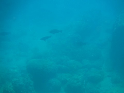 youwriygy3x8k6a35kj6_920_690-f385d53f.jpg