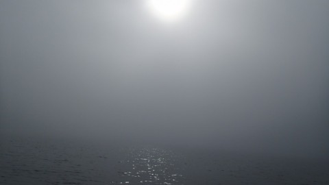 yow3z4efzfto9c59p4go_480_480-87af3df1.jpg