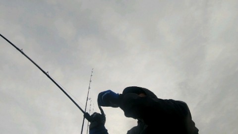 yoxnsndweodvjsk224dj_480_480-166c63b0.jpg
