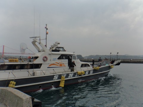 yp2acapn5fmi2io7m66u_480_480-d5c89725.jpg