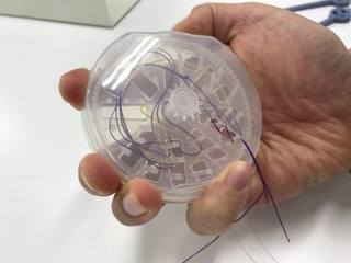 yp58gmcyjbwcbhik3pds-e9ac2ee0.jpg