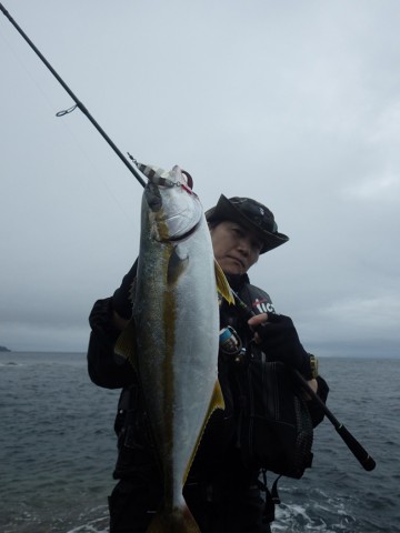 ypejiru4npwtuvpjdrd4_480_480-4301abc0.jpg