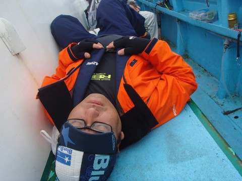 yph2aji8if5jrw3cufp7_480_480-0b63e619.jpg