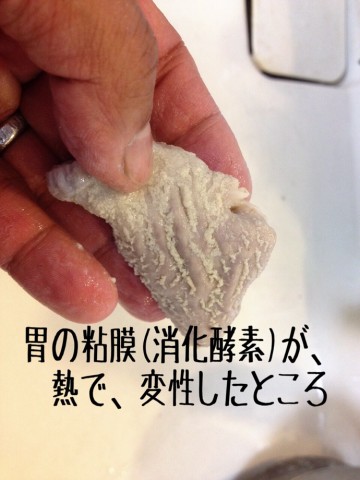 yph2pzzfzuao5xv99sin_690_920-8ebef83a.jpg
