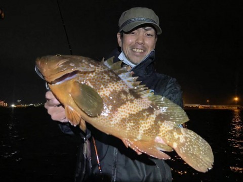 ypp964993acj3adizh82_480_480-078575a0.jpg