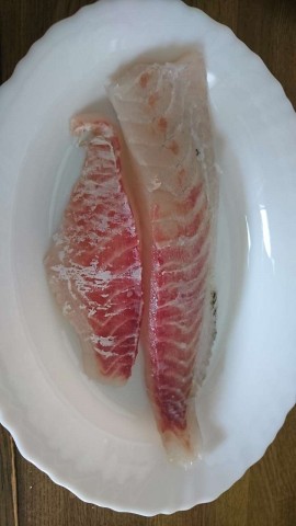 yr3oxkpoat87jzowrjen_480_480-3ec77146.jpg