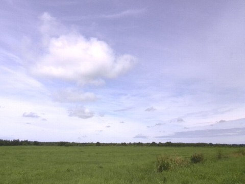 yr9biopcn77x6jrucwja_480_480-931552ae.jpg
