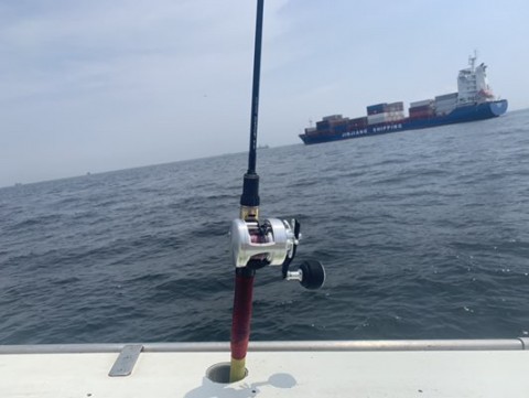 yrb7dhh6rig5zphovcsc_480_361-8c132e9f.jpg