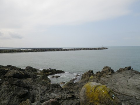 yrboxbgit8xdrcj6thb5_480_480-ec74d9f7.jpg
