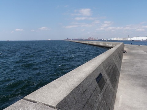 yrcycgaoycvy6adapixz_480_480-5027a361.jpg