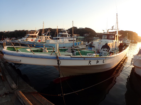 yrhrxzhndkpdhynk7hui-a6a3a640.jpg