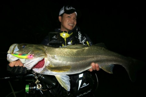 yrizvu66aw8k7x78stbe_920_612-b5ed327c.jpg