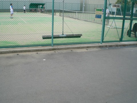yro8uf48zbffxgarz534_480_480-fd50573d.jpg