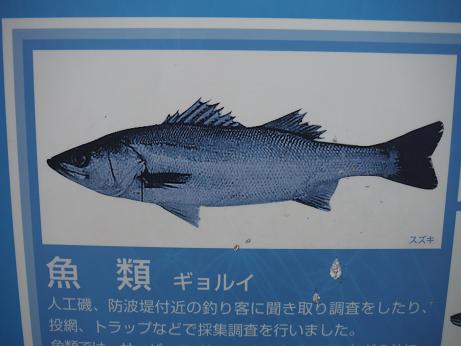 ysgpbopjvpcfyc8f2jdt-198d8d1d.jpg