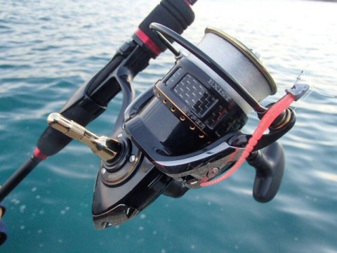 ysgs4zx7e7wxwoytfjc6_640_480-55073030.jpg