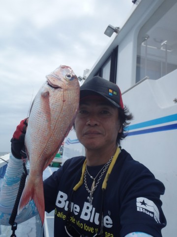 ysrnwjebmr477rzzwvuw_480_480-5cc609ed.jpg