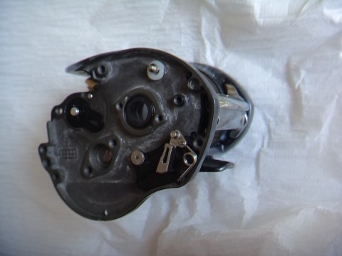 ystwkgivvvf7bumv9t87_480_480-ff80e56c.jpg