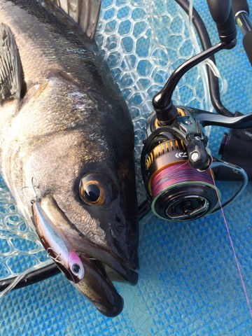 ysx8mm7keddr9jat7rx5_690_920-081aa2d1.jpg