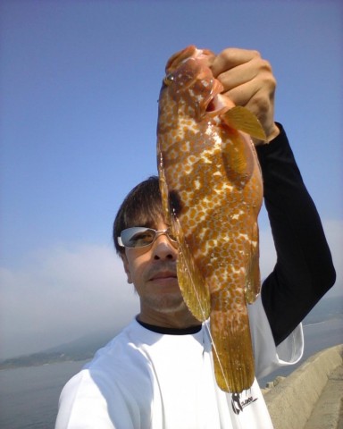 yt2ksgkn339cpznwk9at_480_480-3a3cd196.jpg