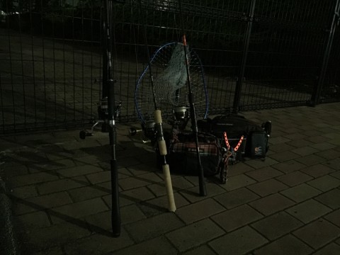 ytj5ki4kdxowrpvwjnud_920_690-30d9d9c7.jpg