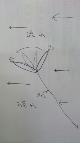 ytnxgf9htbyvuxojhby2_518_920-ff91a38f.jpg