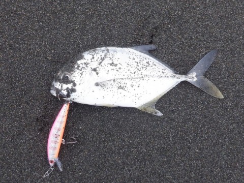 ytsurw4s7ixy5zxhxzex_480_480-1764e59f.jpg