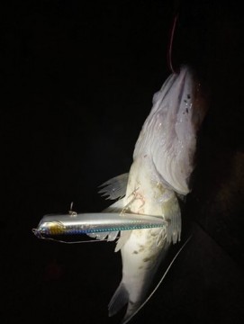 ytupuurwaawkh6ed9a4j_361_480-f589e60e.jpg